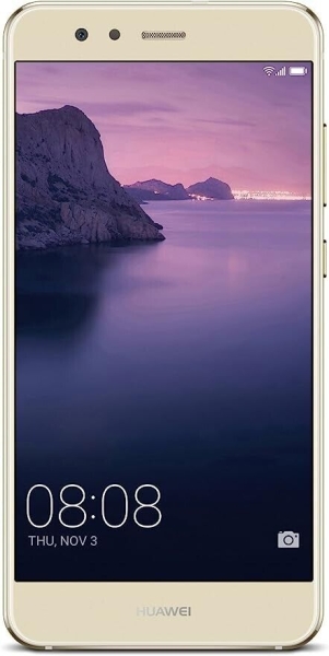 Huawei P10 Lite WAS-LX1 32GB Dual SIM Gold Platin entsperrt sehr guter Zustand