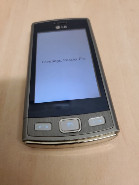 LG GM360 silber (Tesco) Smartphone