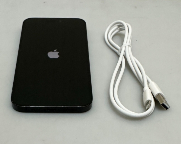 APPLE IPHONE 14 PRO MAX 128GB SMARTPHONE ENTSPERRT FUNKTIONEN PERFEKT SPACE SCHWARZ