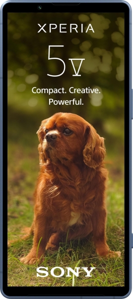 Sony Xperia 5 V 5G 128GB Blau Smartphone #1906884