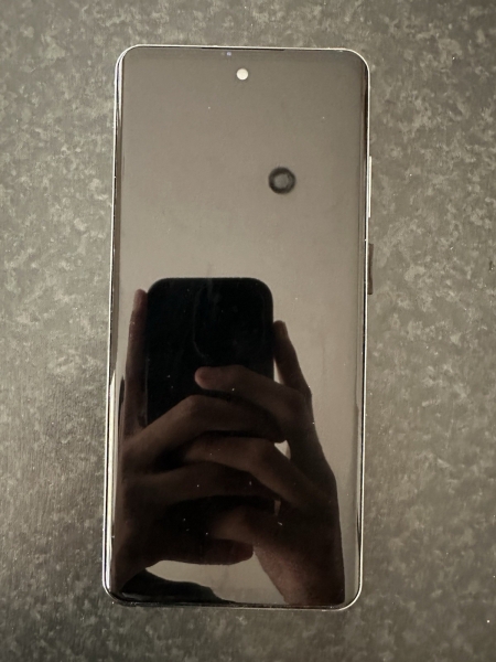 Budget 5G Smartphone – 512GB – Phantom Silver (entsperrt) getestet funktioniert