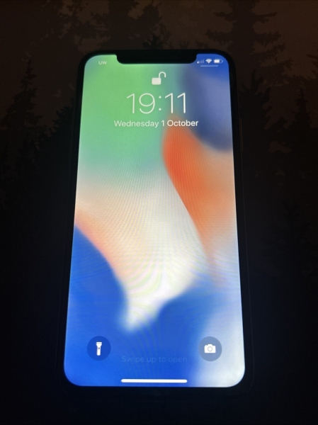 iPhone X entsperrt 64GB silber iOS 12.1.4 ohne Face ID