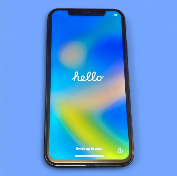 iPhone X (10) 256 Speicher Schwarz 100% Akku Entsperrt