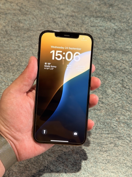 Apple iPhone 12 Pro Max 128GB entsperrt Smartphone graphitgrau