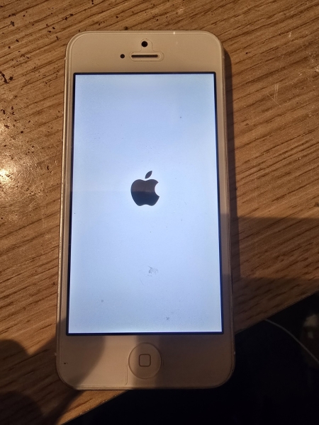 iPhone SE, funktionstüchtiger Zustand muss nur zurückgesetzt werden