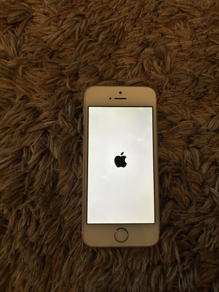 Apple iPhone SE 2016 16GB Roségold Defekt