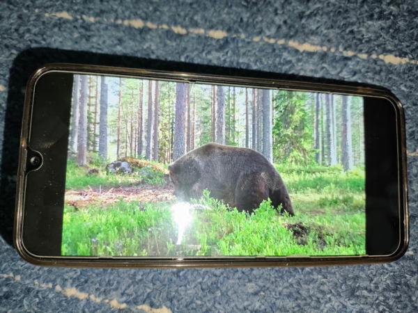 Samsung Galaxy M21 64GB Smartphone Schutzglas & OVP