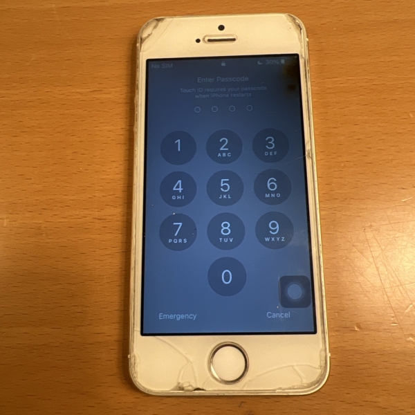 Apple iPhone 5s 16GB | Space Grau und Weiß