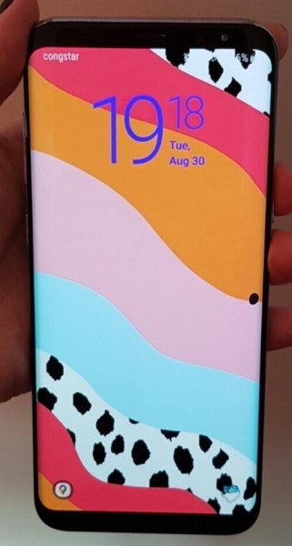 Samsung Galaxy S8+ SM-G955F 64GB Orchid Grey (Ohne Simlock) Smartphone (Duos)