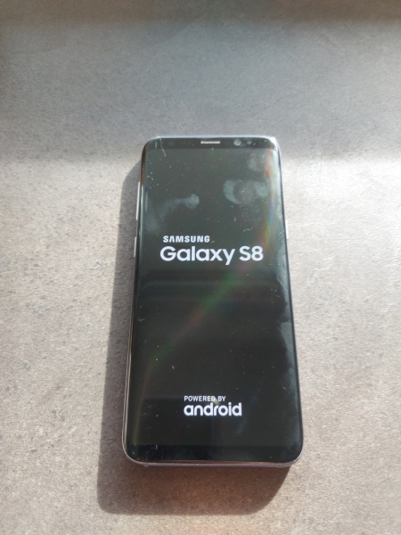 Samsung Galaxy S8 SM-G950F 64GB Guter Zustand Android Smartphone