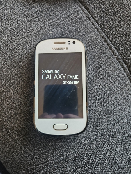 Samsung Galaxy Fame GT-S6810P Schwarz Boot Loop Problem