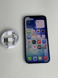Apple iPhone 12 blau 64GB entsperrt Smartphone