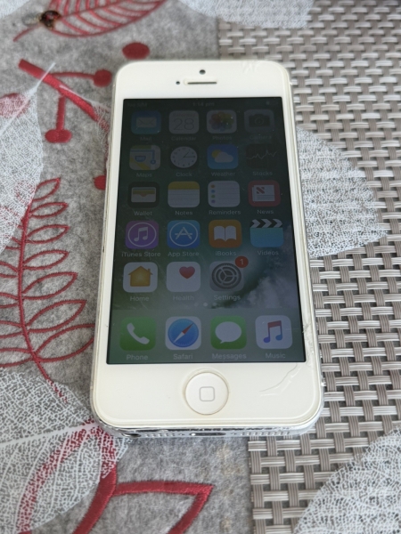 iPhone 5 16gb Silber Entsperrt – DEFEKT – LESEN
