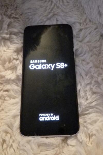 Samsung Galaxy S8+ Smartphone (6,2 Zoll (15,8 cm), 64GB interner Speicher)