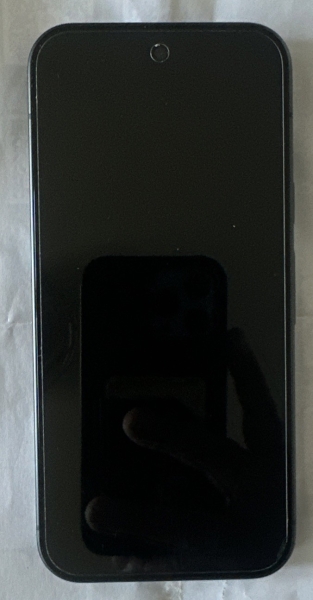 Google Pixel 10 256GB Obsidian entsperrt Smartphone. Kaum benutzt sehr guter Zustand