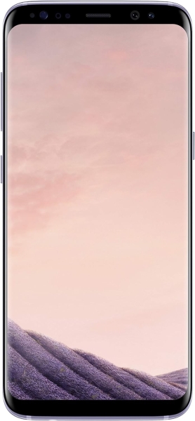 Samsung Galaxy S8 Smartphone 5,8 Zoll 64 GB Orchid Grey #4 „teildefekt“ Sprung #