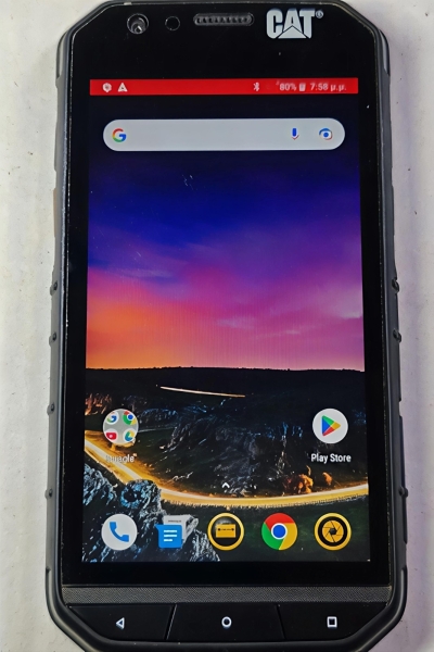 Caterpillar CAT S31 in sehr gutem Zustand Outdoor IP68 Dual SIM 16GB