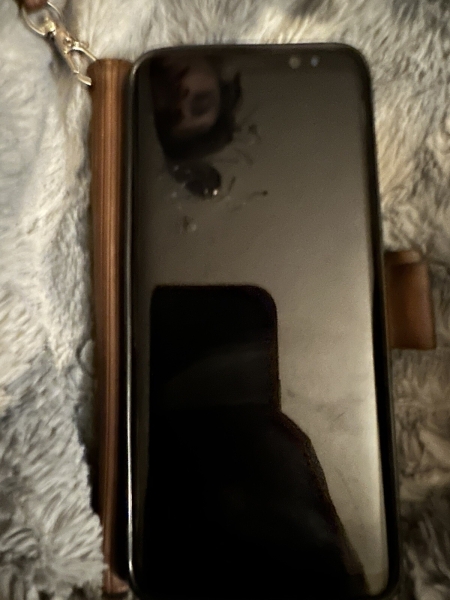 Samsung Galaxy S8 SM-G950F – 64GB – Schwarz (Entsperrt)