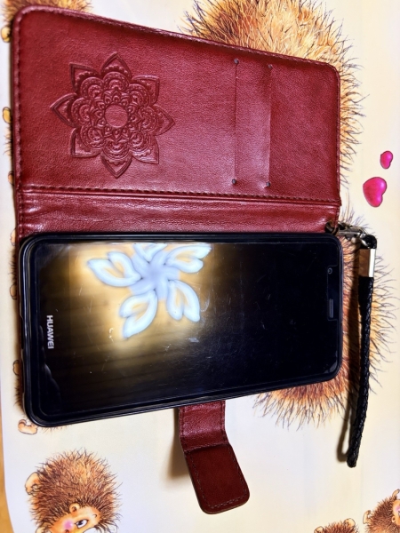 Android Smartphone Huawei P10 Lite, Mit Schutzglas Und Buchcover Mit Eulenmotiv