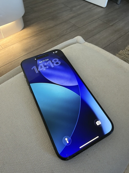 Apple iPhone 15 Pro Max 256GB grau Smartphone (kleiner Displayriss vorne)